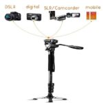 Weifeng Monopod 3958M
